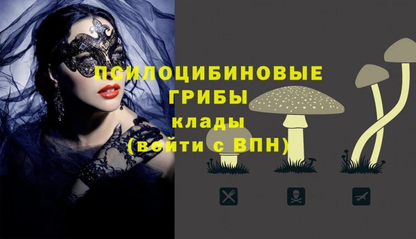 кокс Мегион