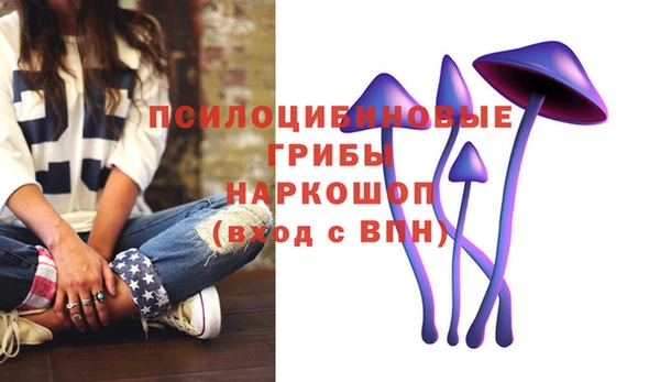 2c-b Медногорск